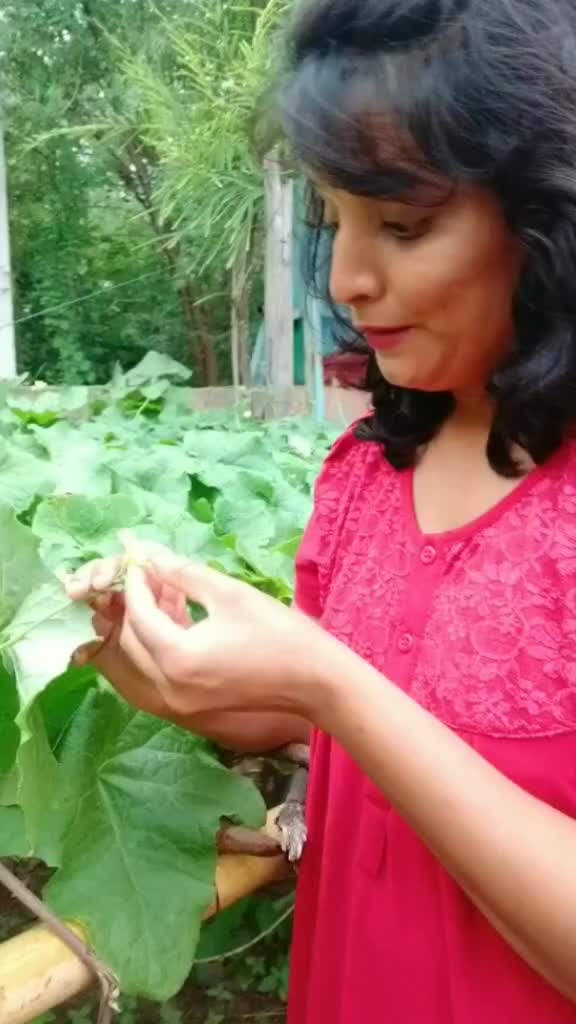 @Jyotirajale