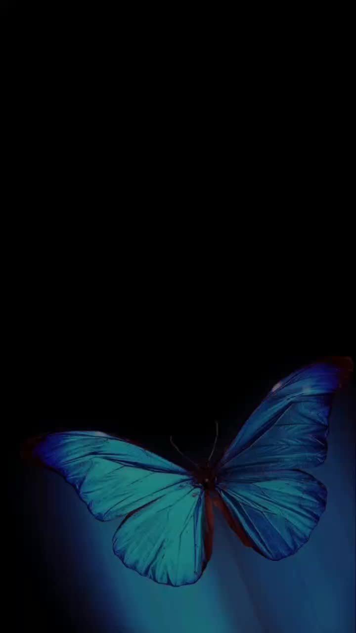 @229403