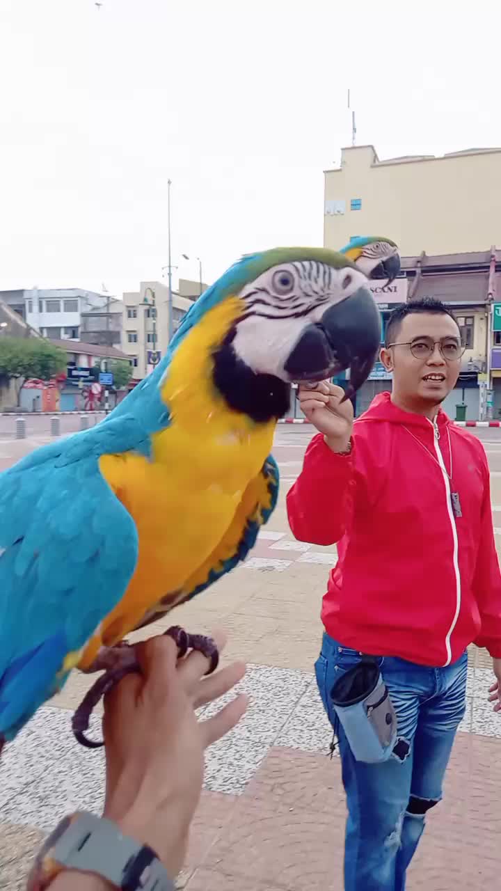 @MUHD_AMIN