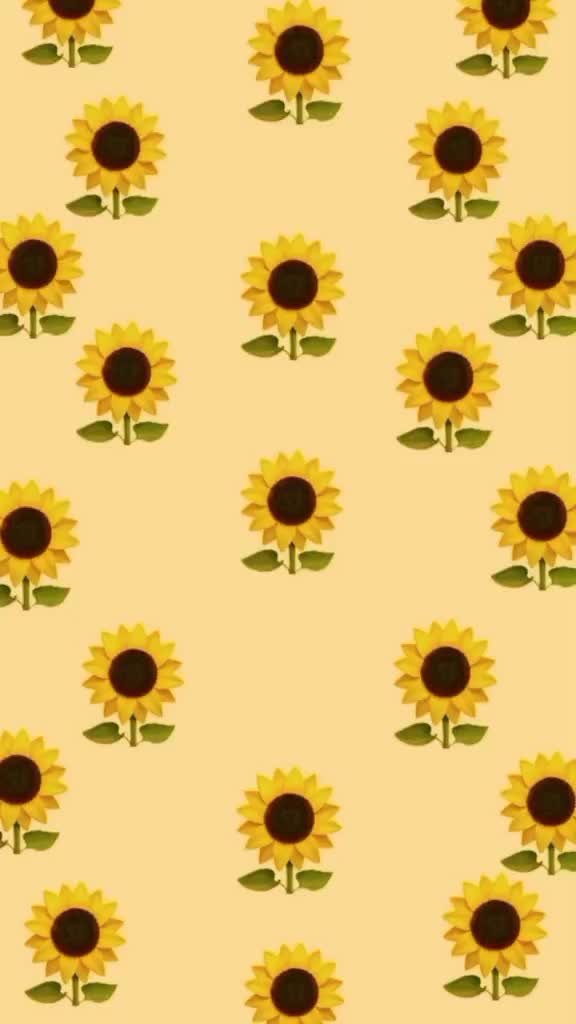 @ot7_forever_7_