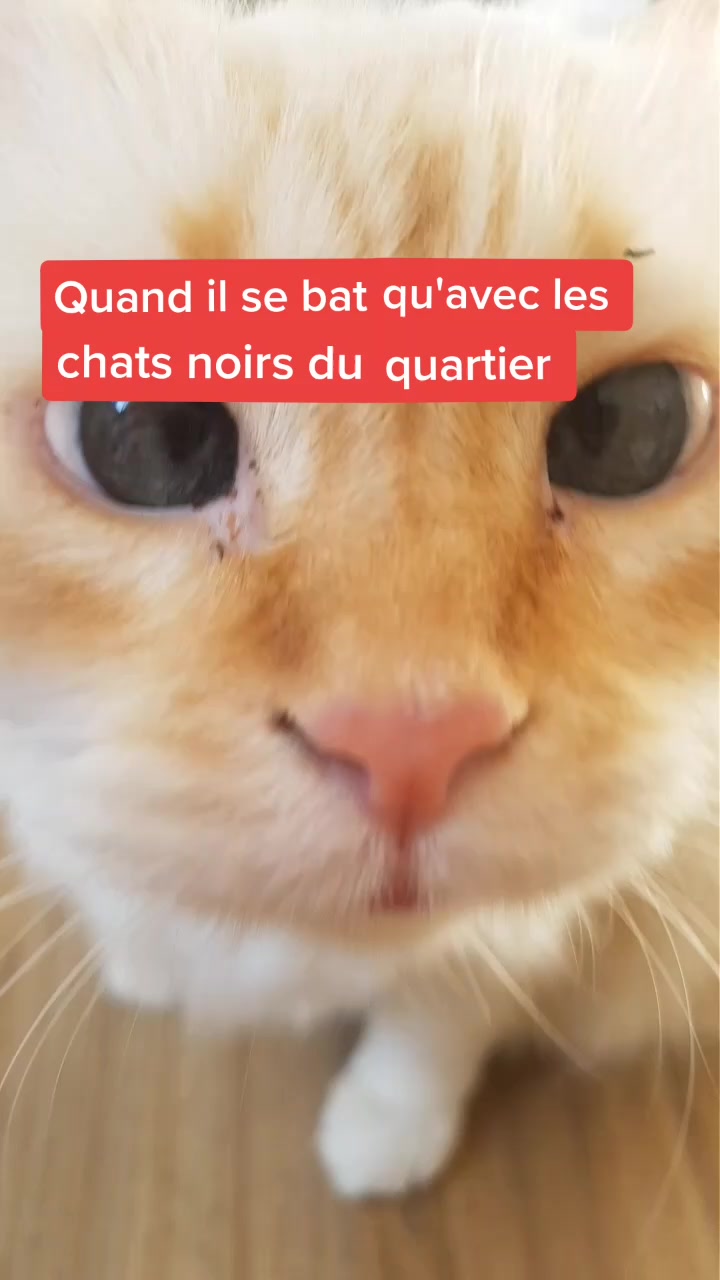 @Charly
