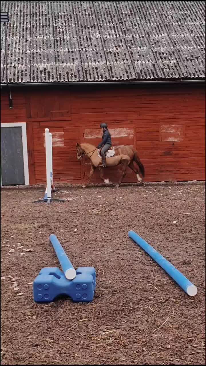 @Hästkonto 💓