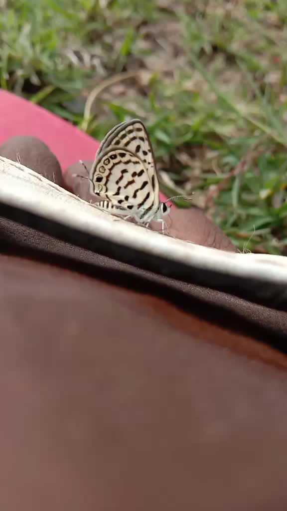 @ShivaMudhiraj