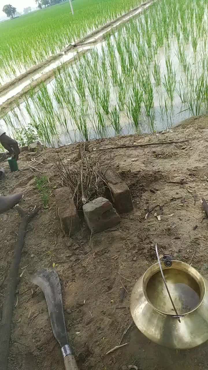 @ਸੱਤਾ ਧਮੋਟ