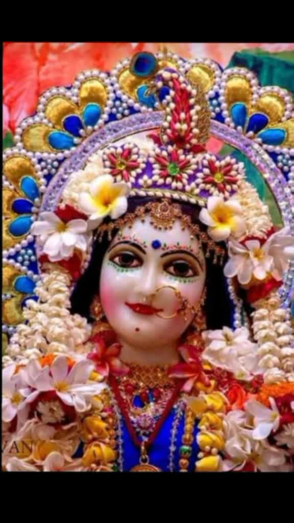 @laxmi mishra