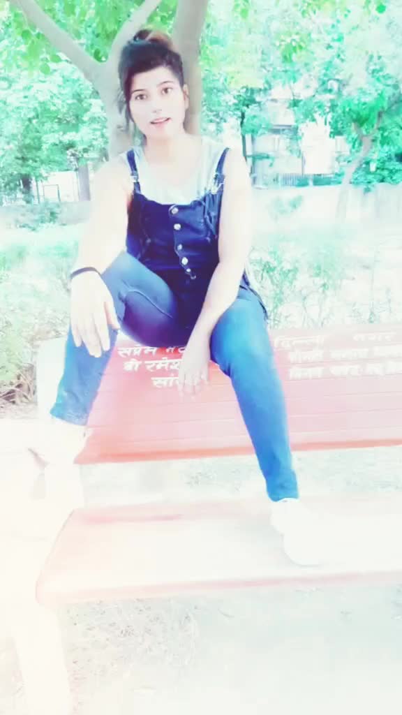 @jungli billi 🙀😻