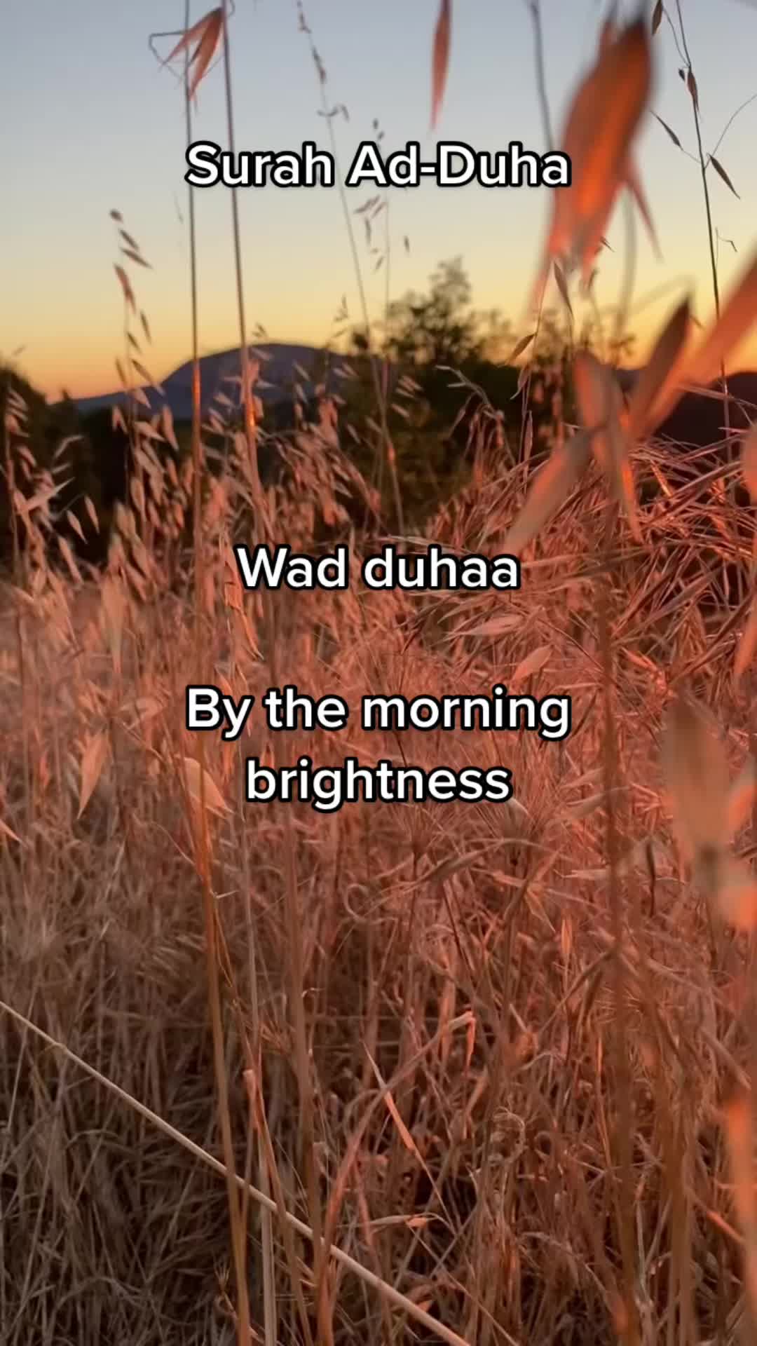 @Quranicrecitationss