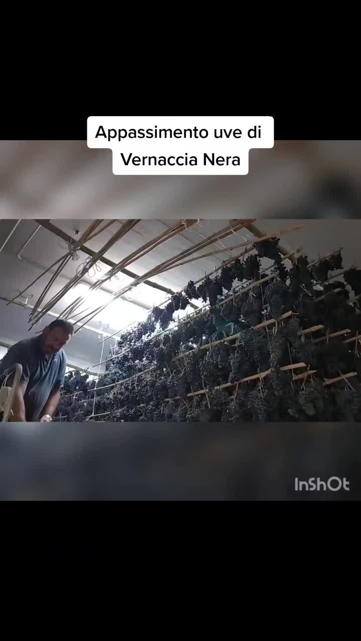 @Dante Duri