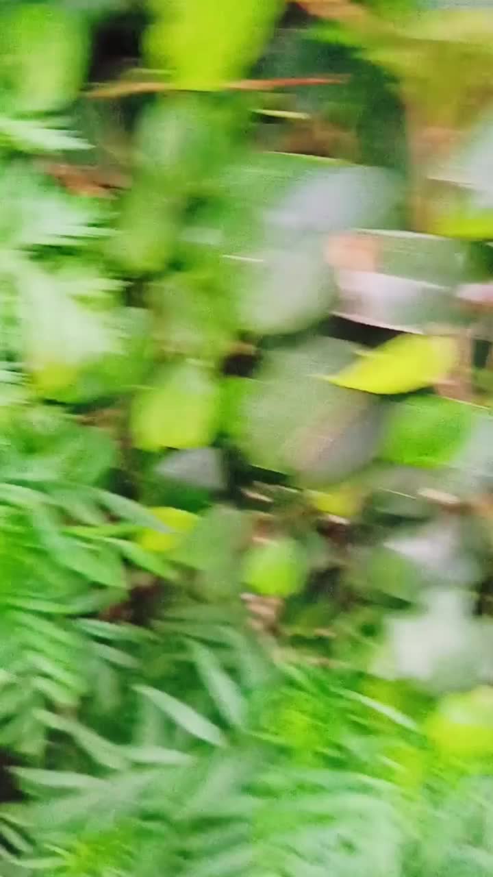 @Neeraj kumar