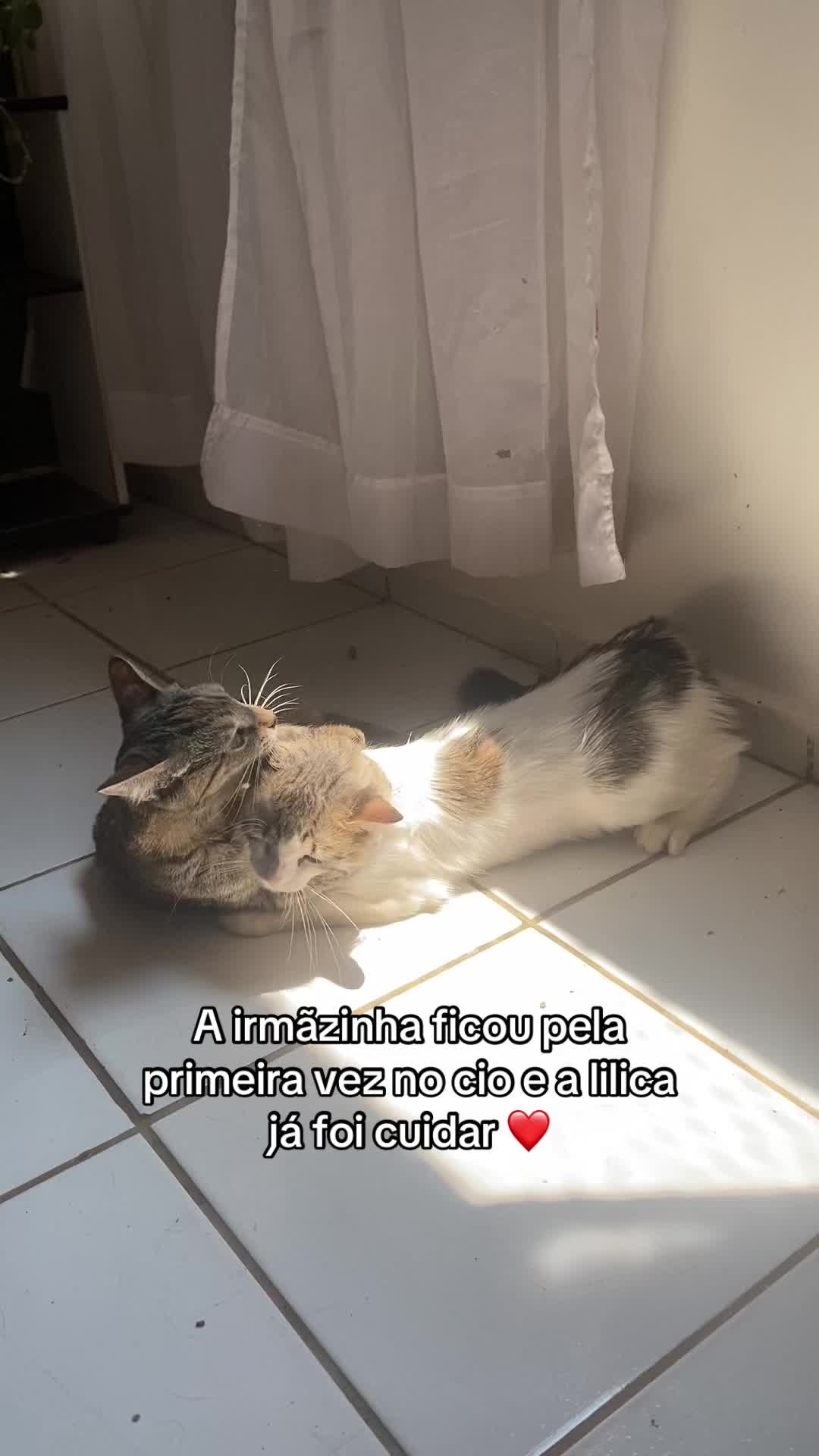 @Malu
