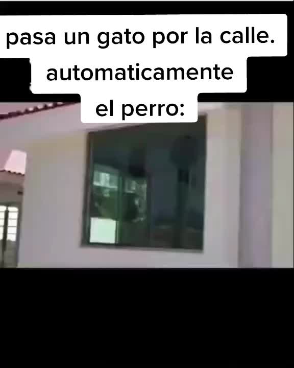 @Ilusioner
