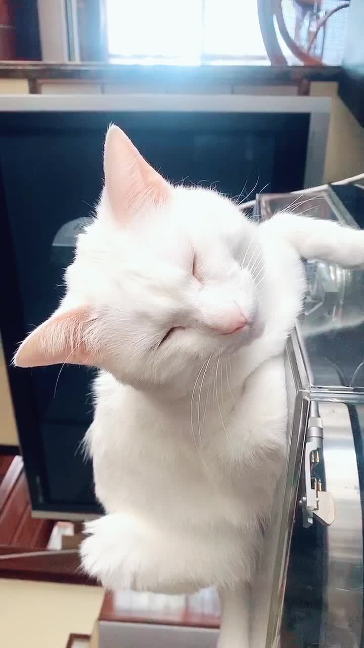 @ゼットン