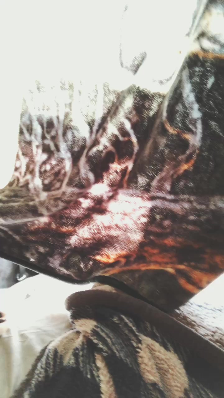 @Hope_mikaelson_best_tribrid