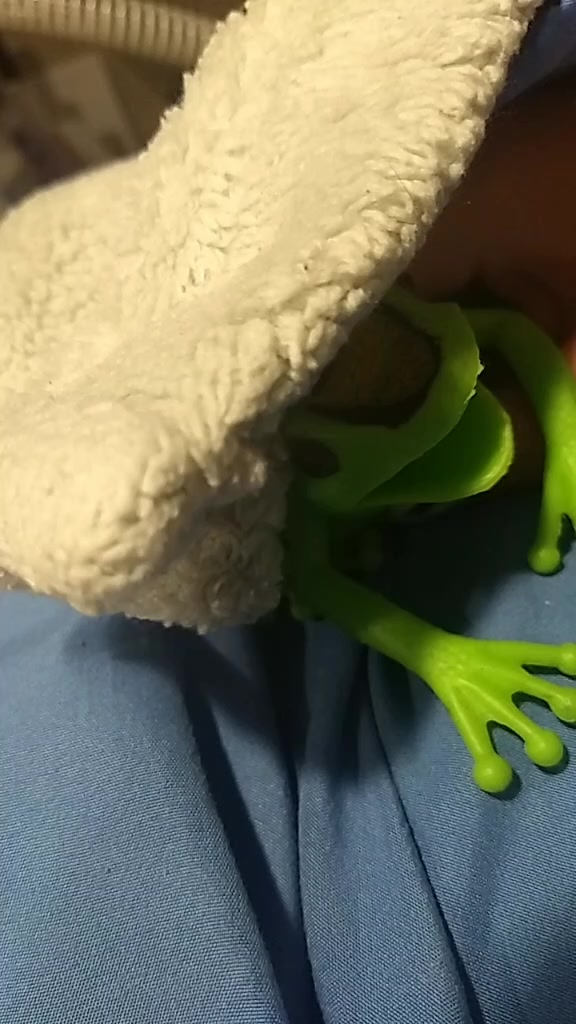 @🐸🐸🐸