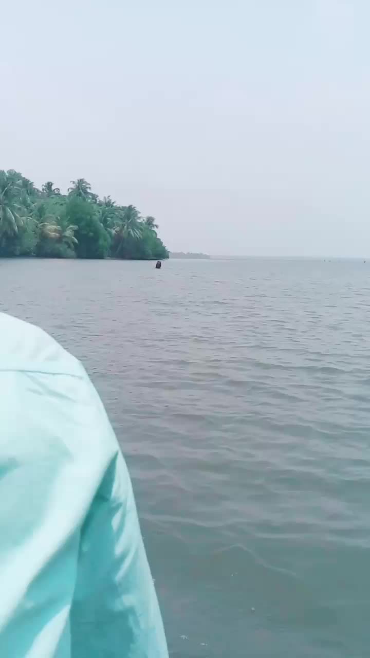 @Akhil A Kumar