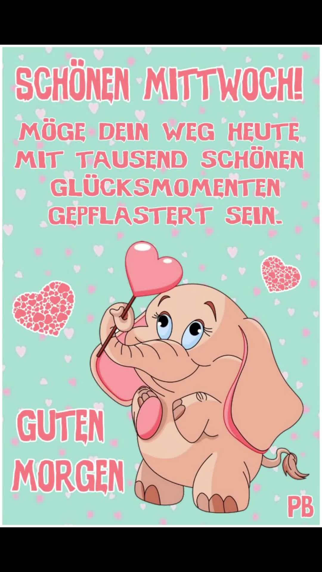 @dagmarschoondy