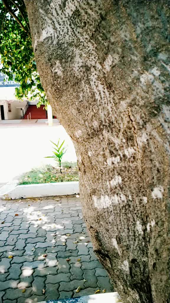 @Anwar Haja