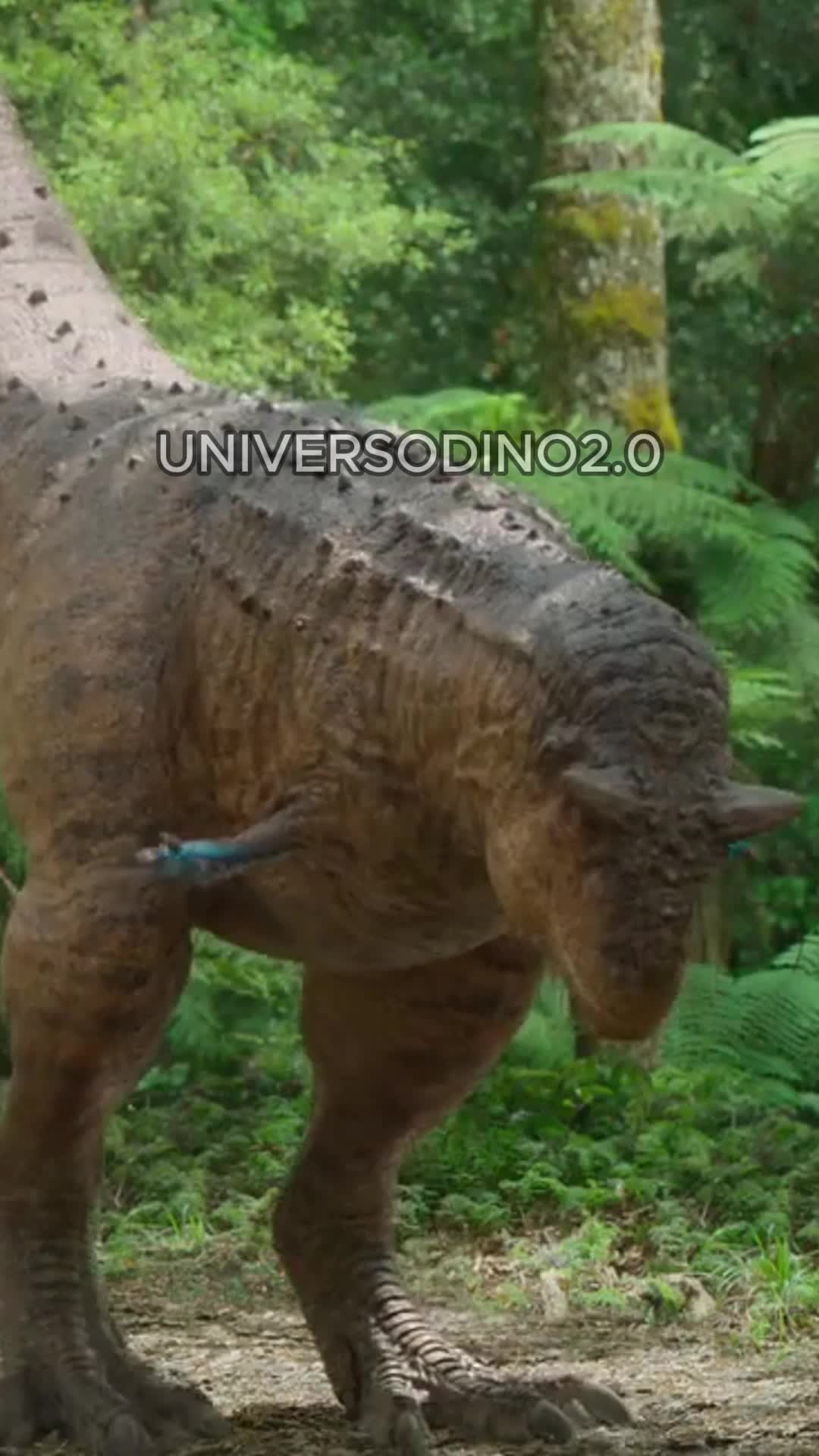 @UNIVERSODINO