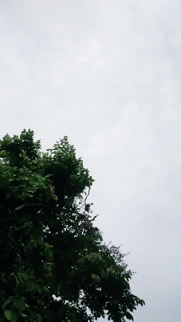 @🔥🔥ᧁꪊᦔᦔꪊ ᠻ𝕣🔥🔥