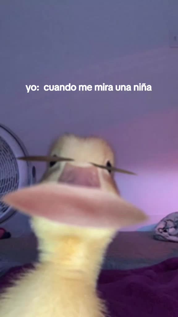 @»»————>Ezequiel <————««