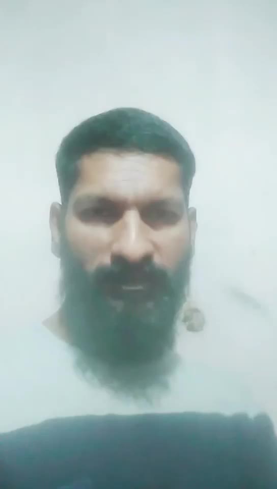 @febishazz