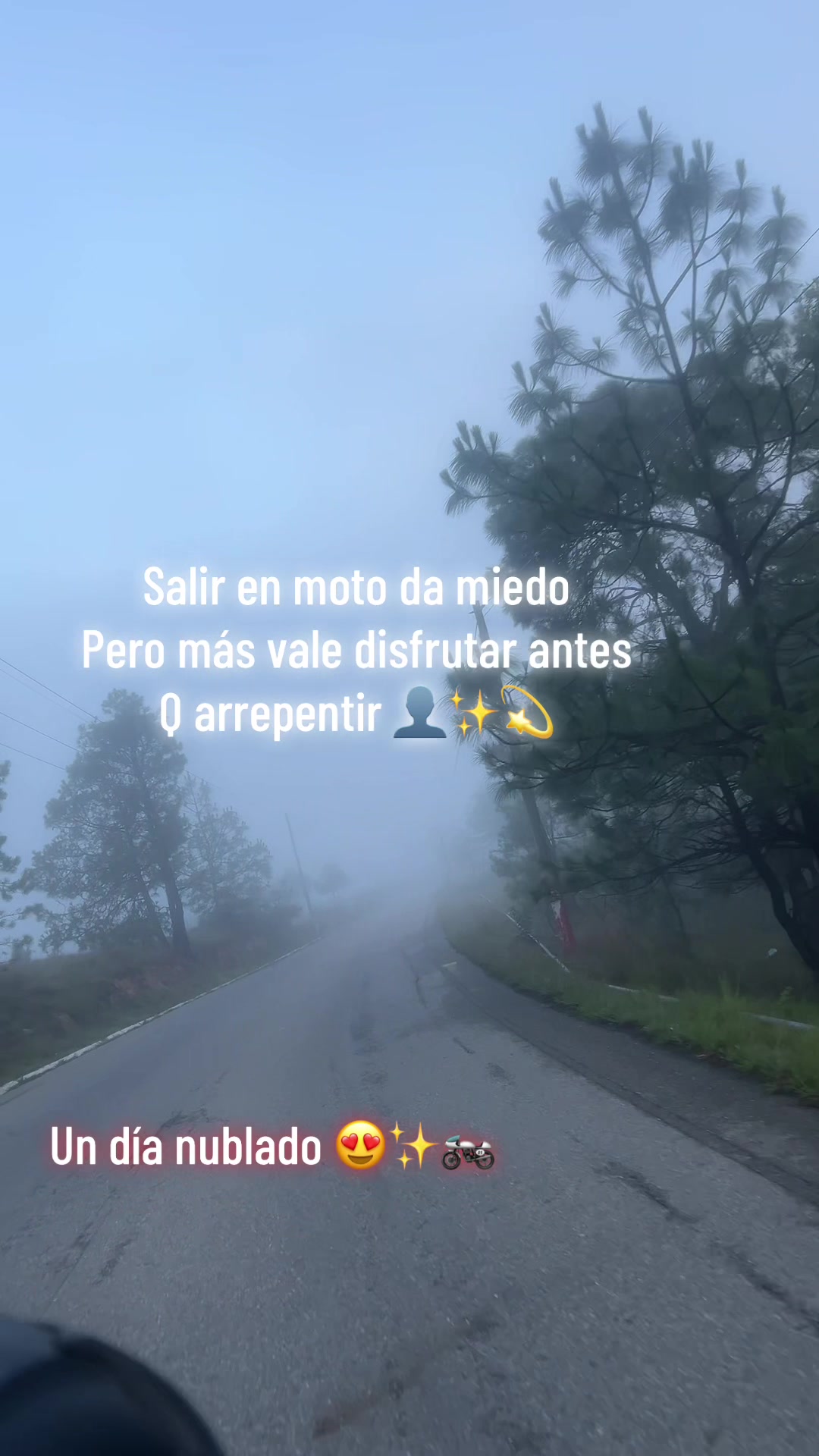 @Dᴀηsɪтσ™®