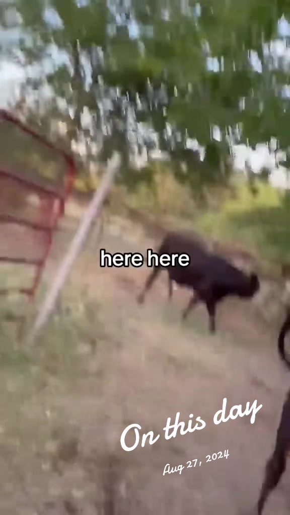 @Nita B Feral