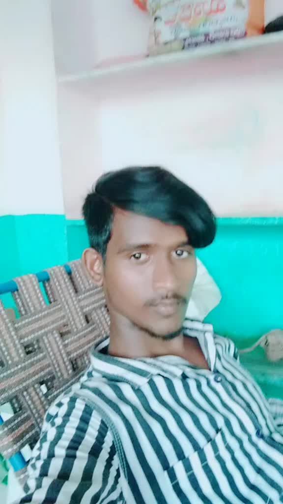 @bollepoguirmiya831