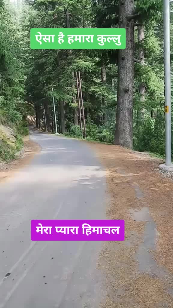 @TUK TUK 😂🤣