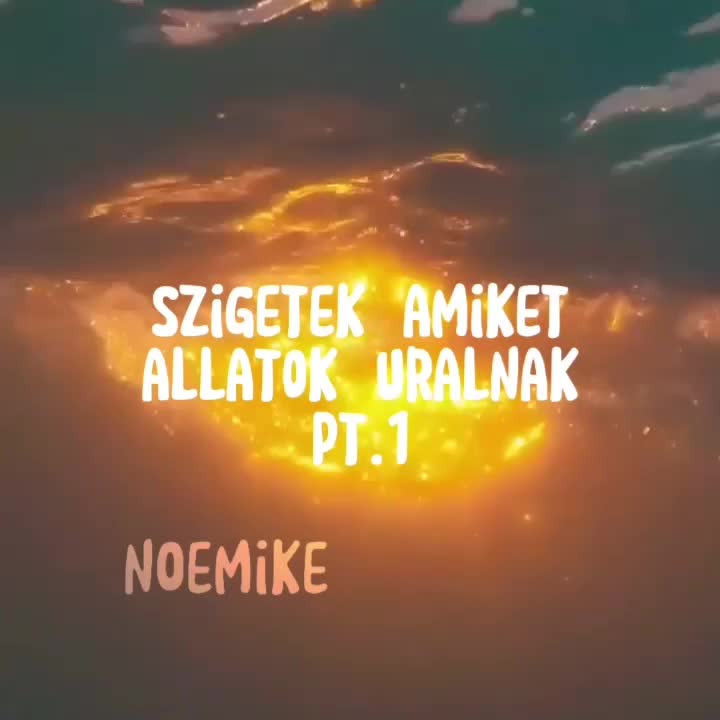 @Noémi