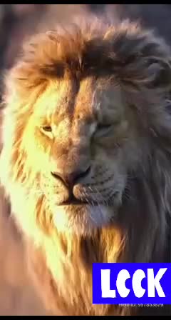 @vikram333
