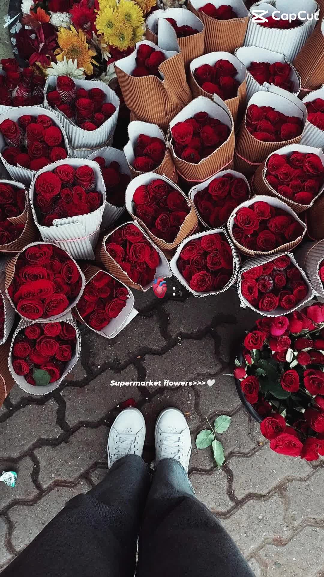 @Aesthetically~🎀