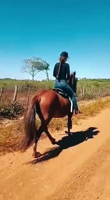 @user77478291532