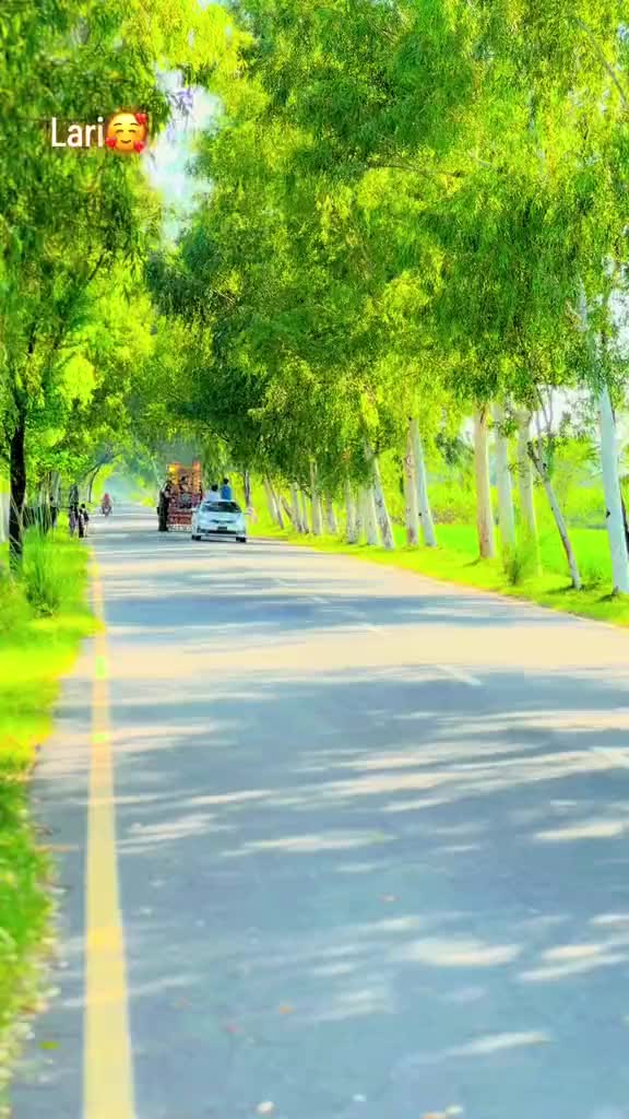 @chaudaryzainali5