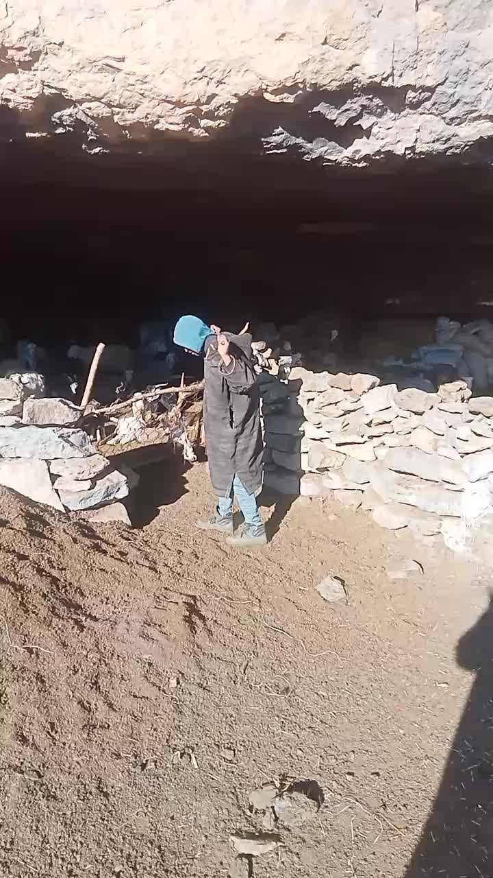 @جمال بالعباسي