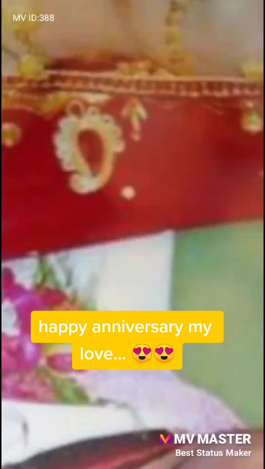 @Shelly 7