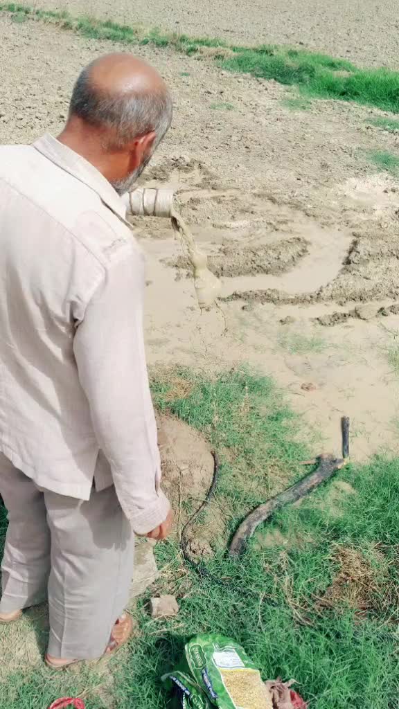 @Rambir Saharan