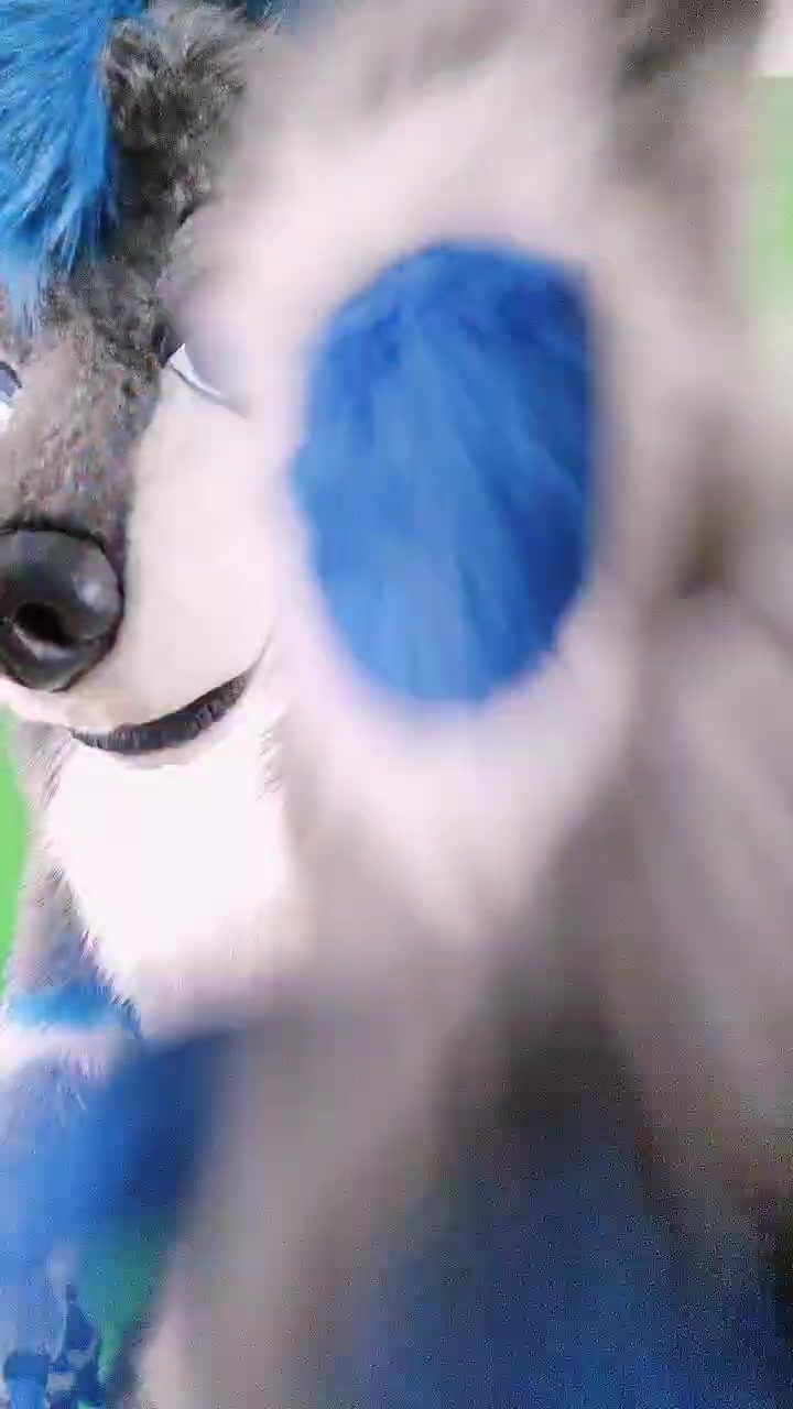 @DarkDragon