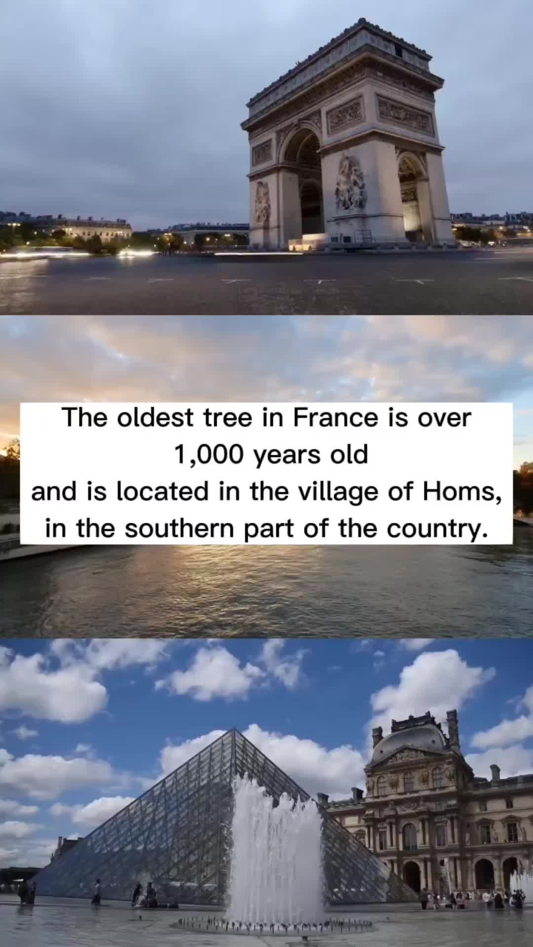 @Mozinity