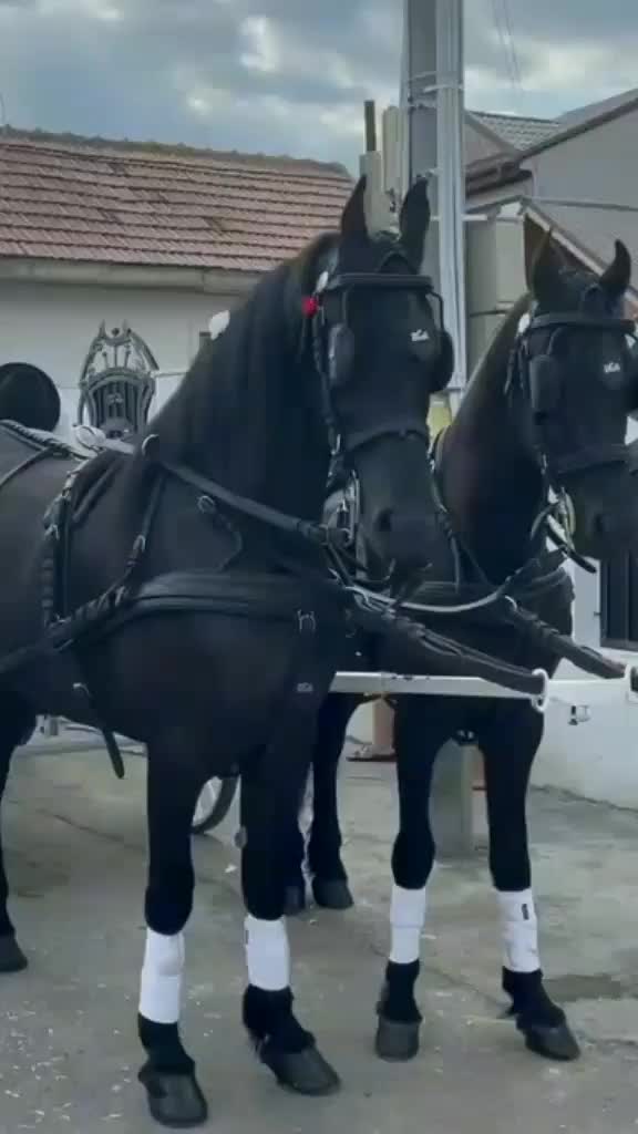 @_.adry._