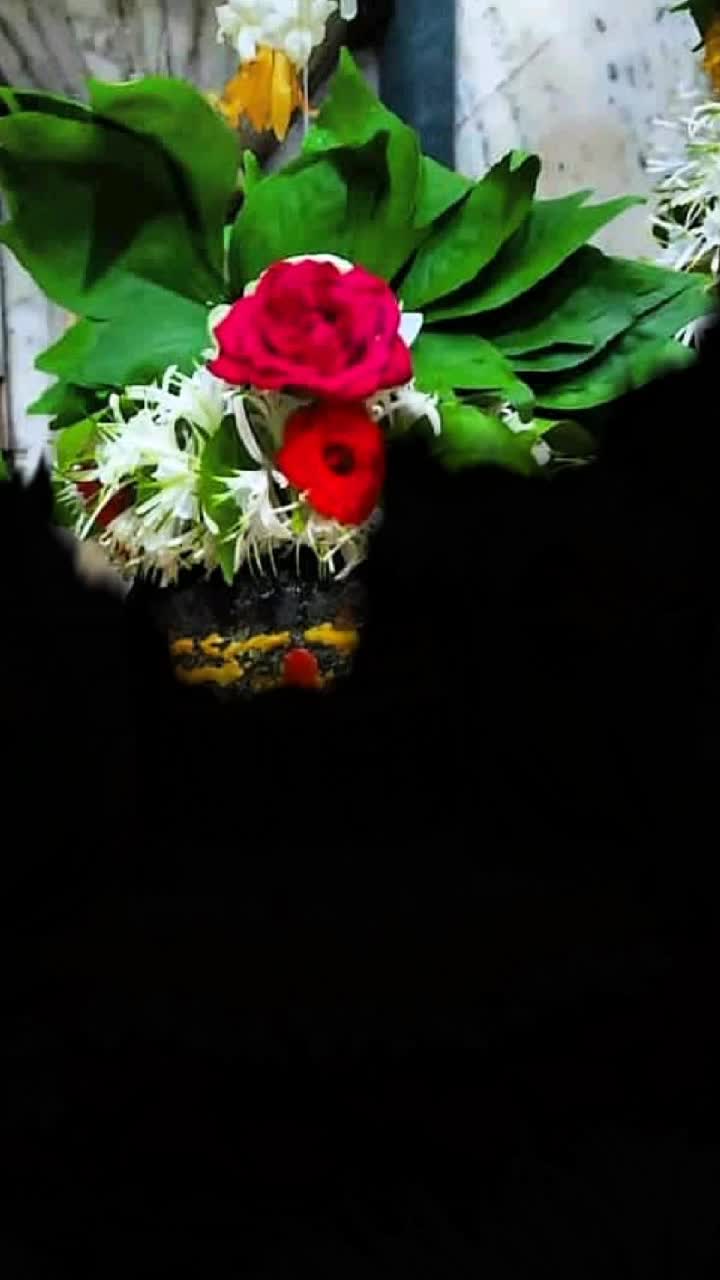 @Silent Start Alok