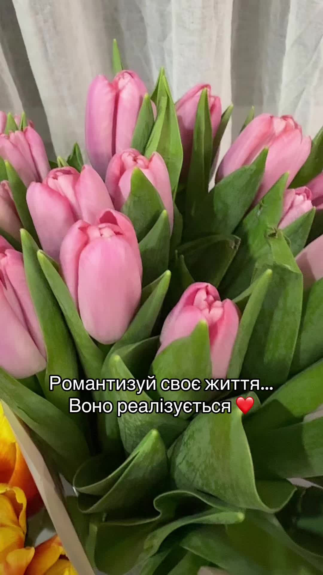 @Анна Белкот