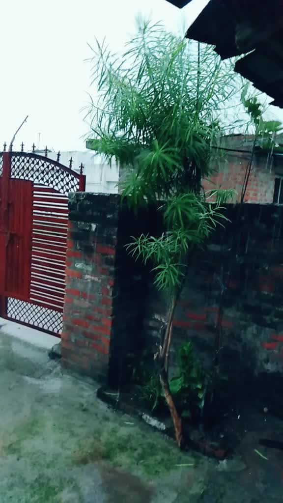 @Mamta Rana