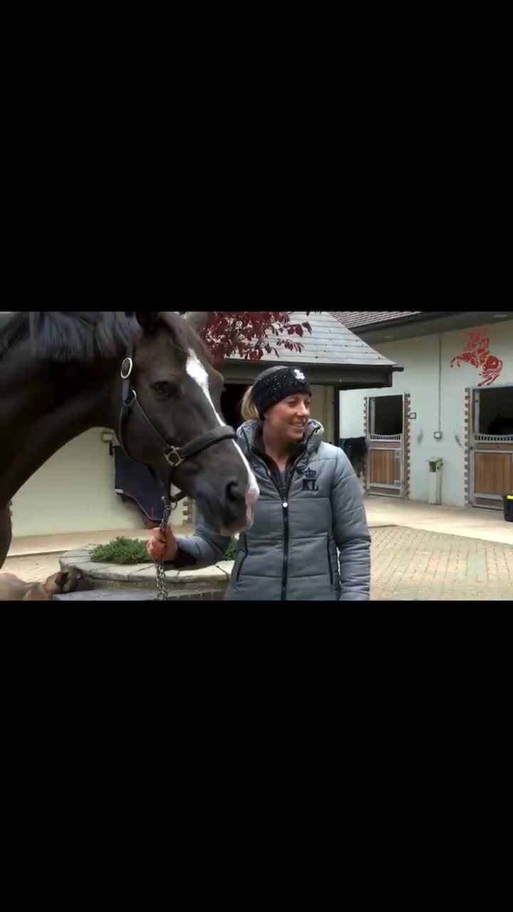 @Horse Editz!