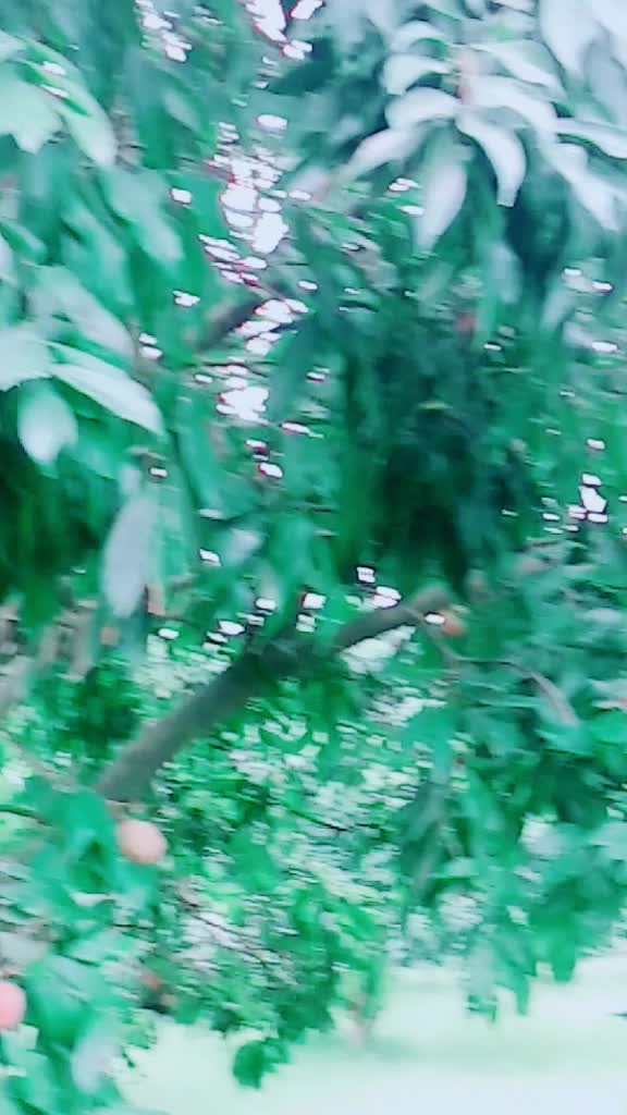 @👉@Arif official🕺💃