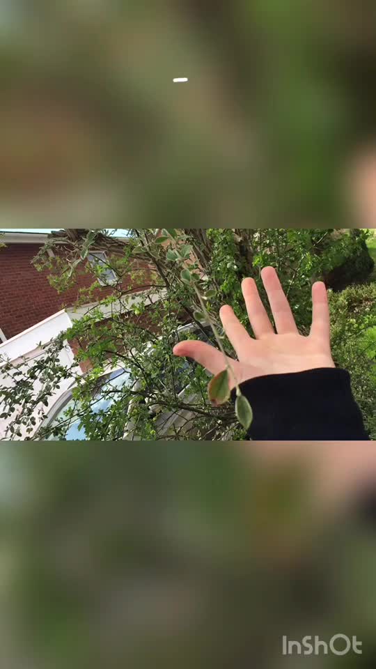 @ƠƇЄƛƝ