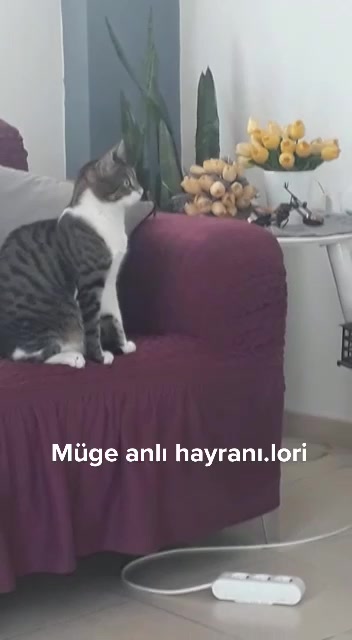 @Maviş Deniz