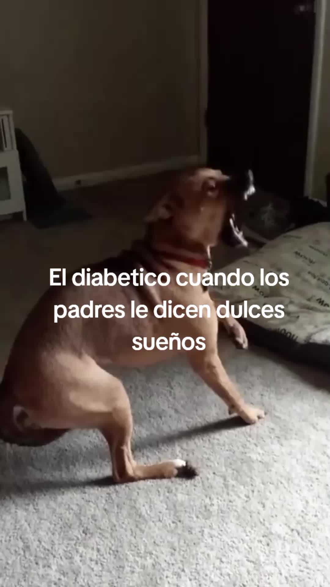 @▸