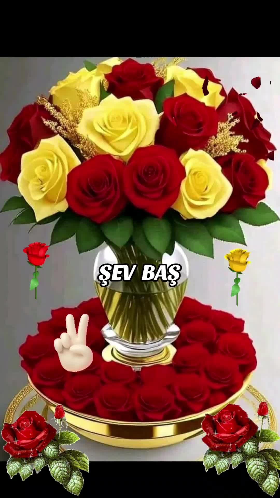 @Hatice