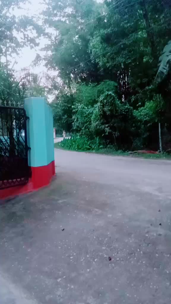 @Ena das